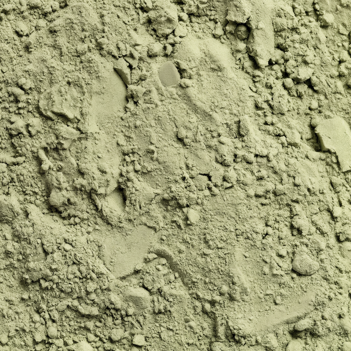 Greens Superfood Powder | Daily Wellness