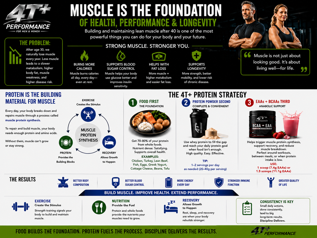 Protein, Amino Acids & Muscle Growth: What You Actually Need to Know