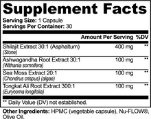 Shilajit Adaptogen Complex | Natural Energy, Focus & Vitality Support