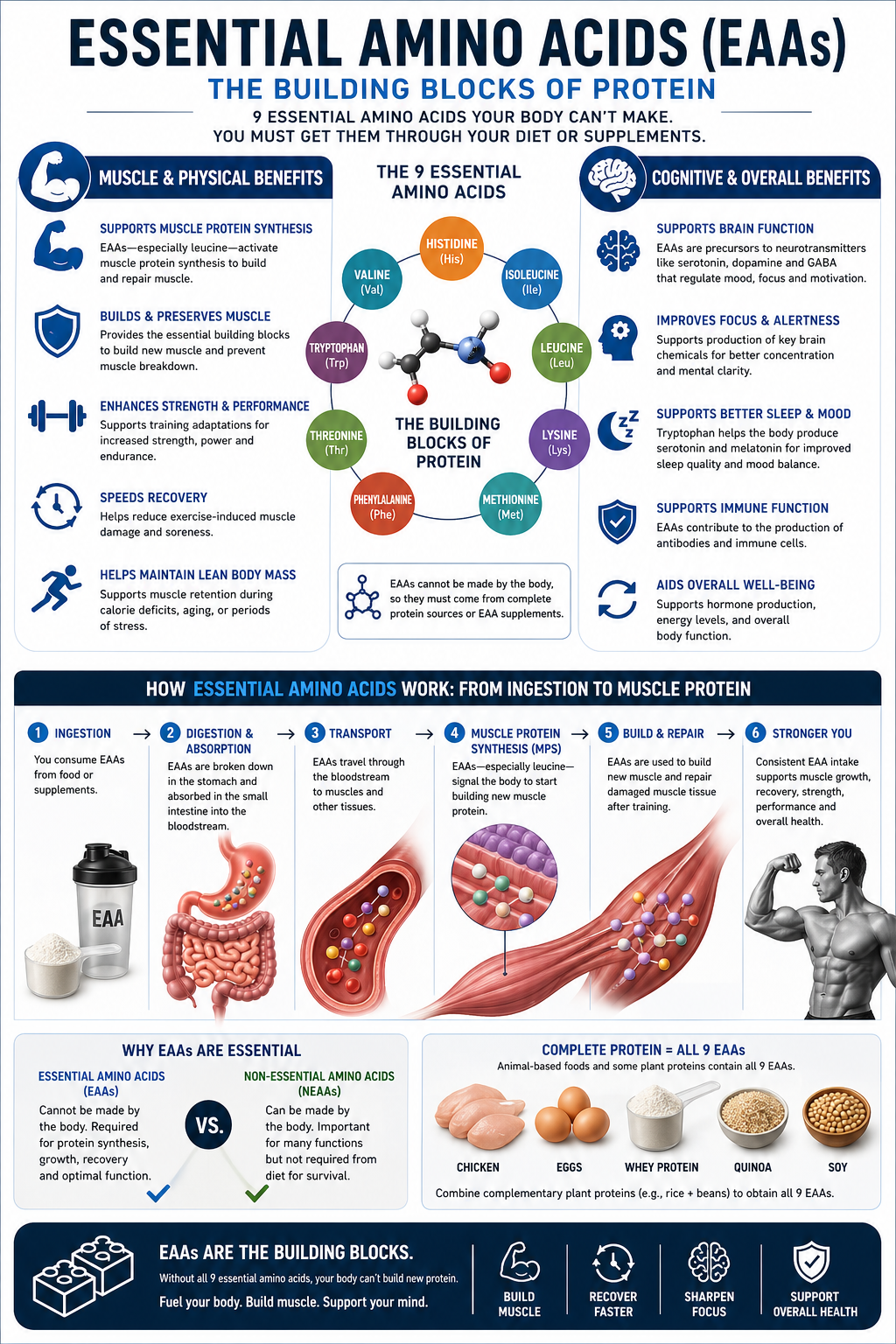EAA + BCAA Recovery