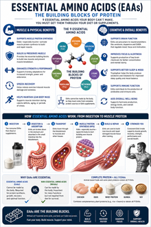 EAA + BCAA Recovery