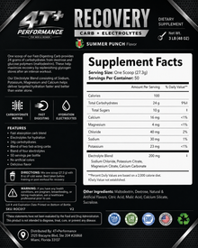 Recovery Carb + Electrolytes Formula (Summer Punch)